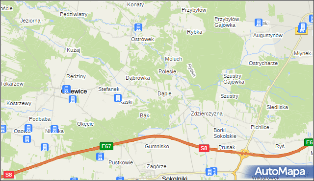 mapa Dąbie gmina Galewice, Dąbie gmina Galewice na mapie Targeo