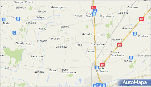 mapa Dąbie gmina Łęczyca, Dąbie gmina Łęczyca na mapie Targeo