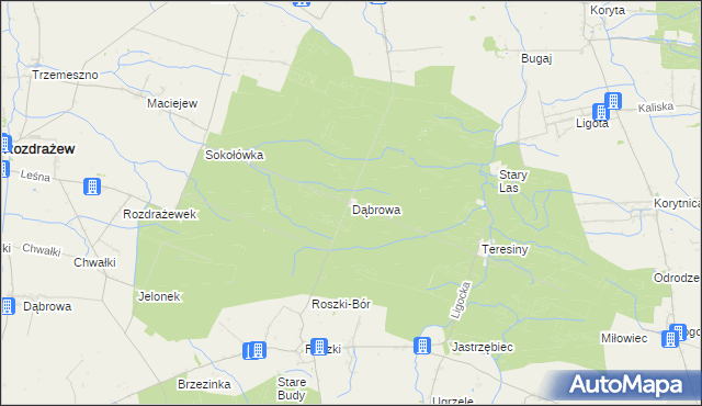 mapa Dąbrowa gmina Krotoszyn, Dąbrowa gmina Krotoszyn na mapie Targeo