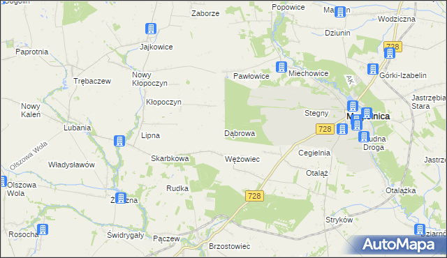 mapa Dąbrowa gmina Mogielnica, Dąbrowa gmina Mogielnica na mapie Targeo