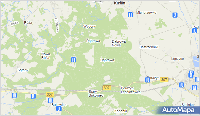 mapa Dąbrowa gmina Opalenica, Dąbrowa gmina Opalenica na mapie Targeo