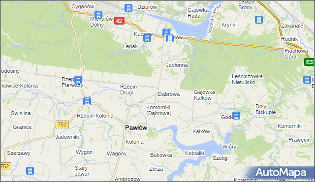 mapa Dąbrowa gmina Pawłów, Dąbrowa gmina Pawłów na mapie Targeo