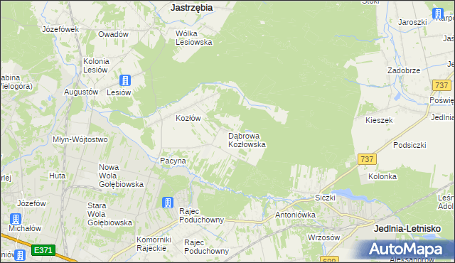 mapa Dąbrowa Kozłowska, Dąbrowa Kozłowska na mapie Targeo