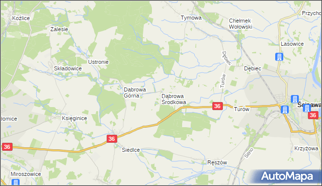 mapa Dąbrowa Środkowa, Dąbrowa Środkowa na mapie Targeo