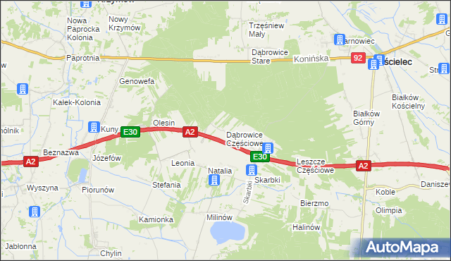 mapa Dąbrowice Częściowe, Dąbrowice Częściowe na mapie Targeo