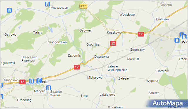 mapa Dąbrówka gmina Borek Wielkopolski, Dąbrówka gmina Borek Wielkopolski na mapie Targeo