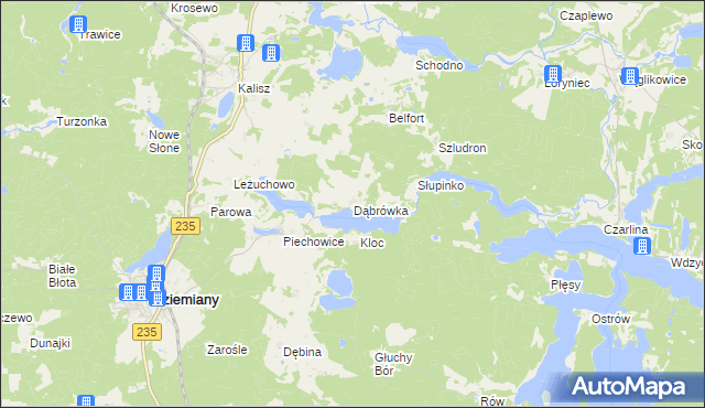 mapa Dąbrówka gmina Dziemiany, Dąbrówka gmina Dziemiany na mapie Targeo