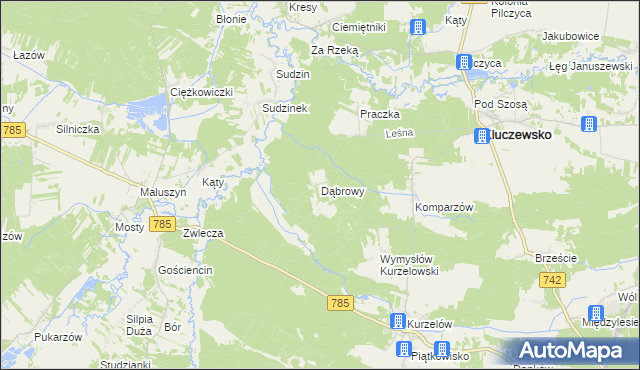 mapa Dąbrowy gmina Kluczewsko, Dąbrowy gmina Kluczewsko na mapie Targeo