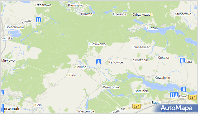 mapa Dębogóra gmina Czerwonak, Dębogóra gmina Czerwonak na mapie Targeo