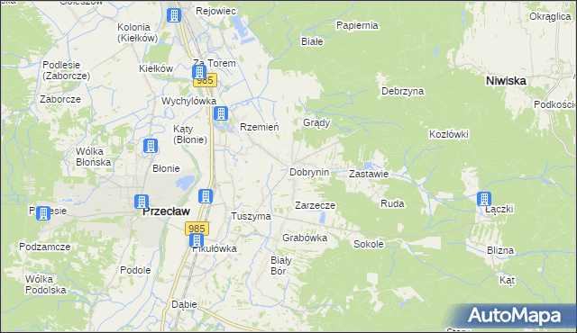 mapa Dobrynin, Dobrynin na mapie Targeo