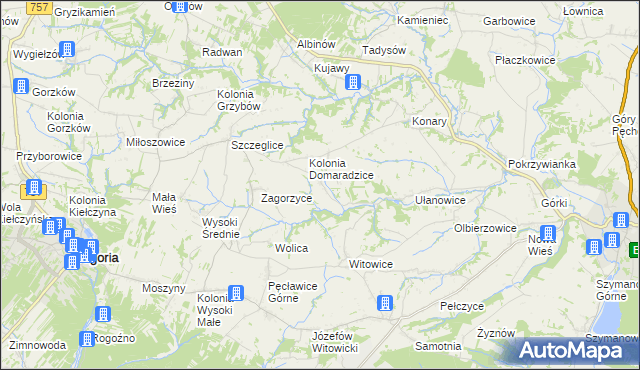 mapa Domaradzice gmina Bogoria, Domaradzice gmina Bogoria na mapie Targeo