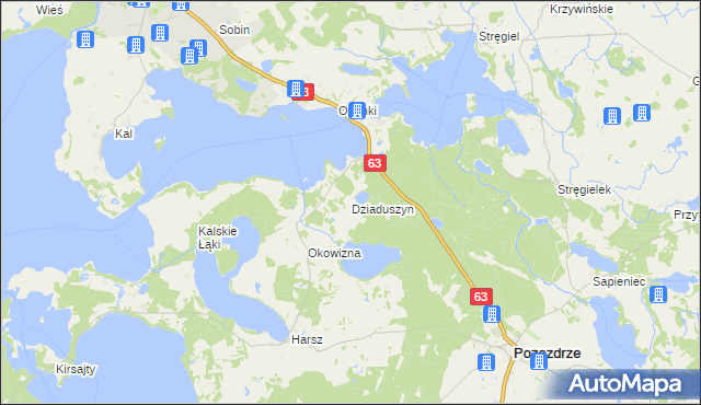 mapa Dziaduszyn, Dziaduszyn na mapie Targeo