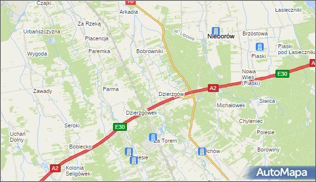 mapa Dzierzgów gmina Nieborów, Dzierzgów gmina Nieborów na mapie Targeo