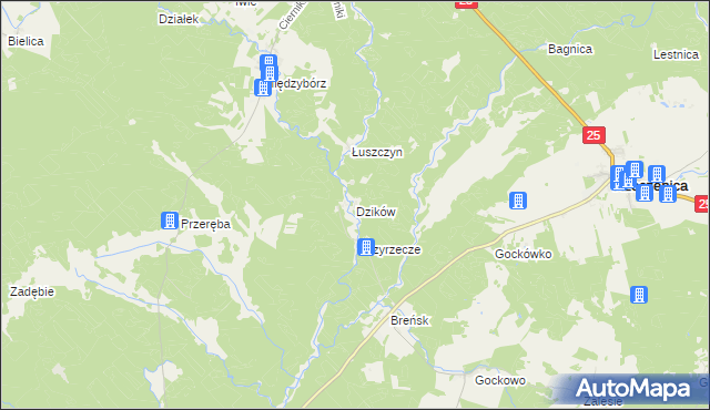 mapa Dzików gmina Rzeczenica, Dzików gmina Rzeczenica na mapie Targeo