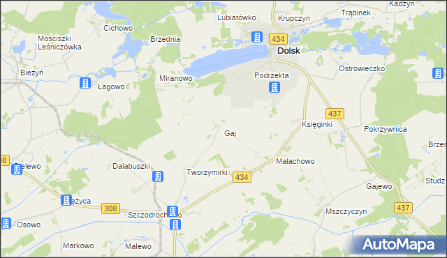 mapa Gaj gmina Gostyń, Gaj gmina Gostyń na mapie Targeo