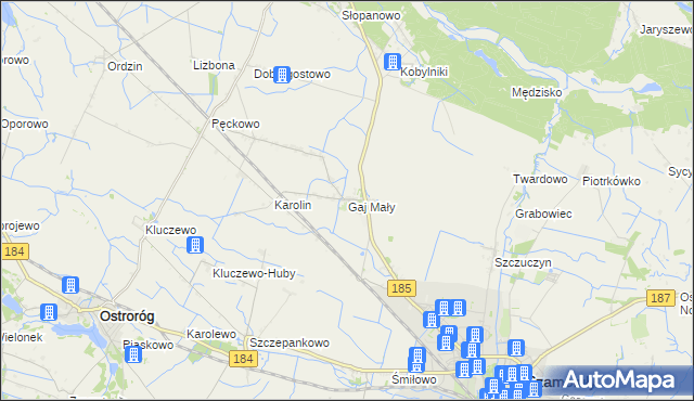 mapa Gaj Mały gmina Obrzycko, Gaj Mały gmina Obrzycko na mapie Targeo