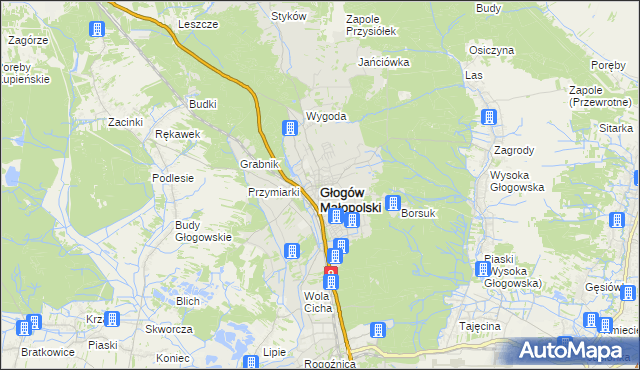 mapa Głogów Małopolski, Głogów Małopolski na mapie Targeo