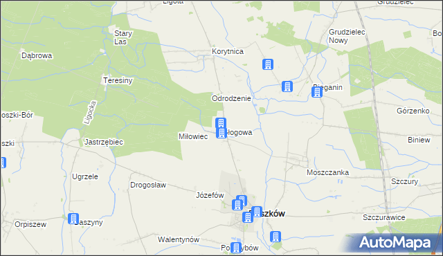 mapa Głogowa gmina Raszków, Głogowa gmina Raszków na mapie Targeo