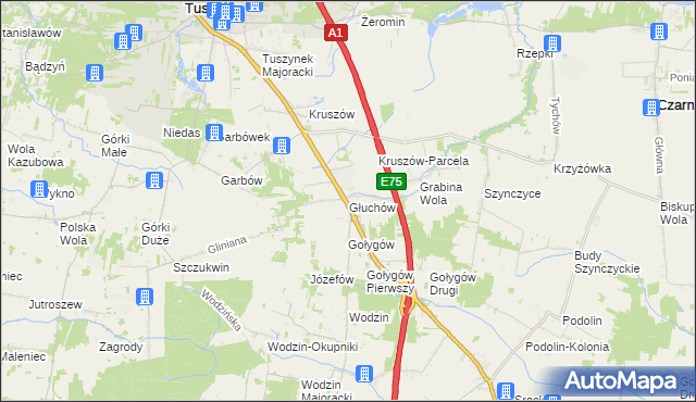 mapa Głuchów gmina Tuszyn, Głuchów gmina Tuszyn na mapie Targeo