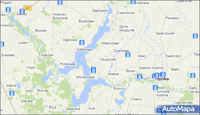 mapa Głuszynek, Głuszynek na mapie Targeo