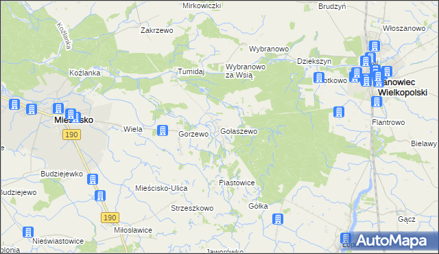 mapa Gołaszewo gmina Mieścisko, Gołaszewo gmina Mieścisko na mapie Targeo