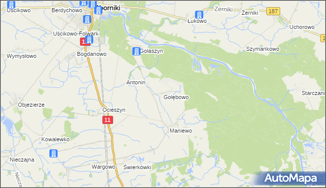 mapa Gołębowo, Gołębowo na mapie Targeo