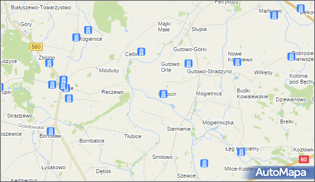 mapa Gołocin, Gołocin na mapie Targeo