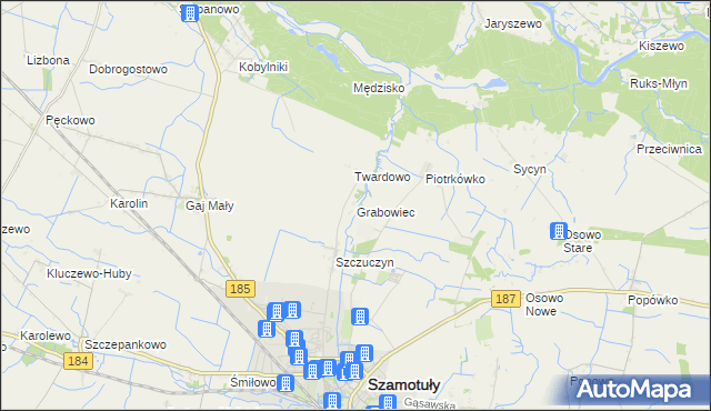 mapa Grabowiec gmina Szamotuły, Grabowiec gmina Szamotuły na mapie Targeo