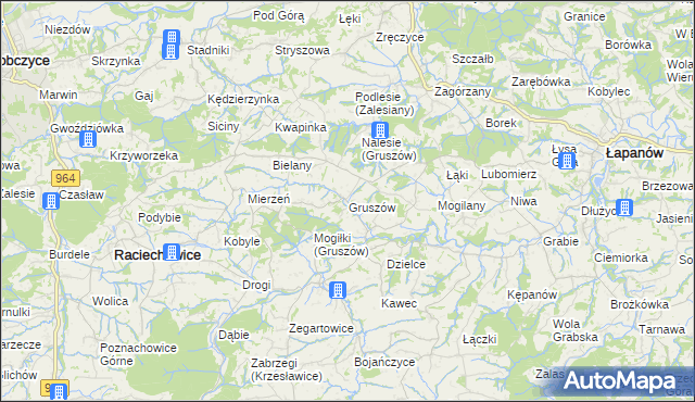 mapa Gruszów gmina Raciechowice, Gruszów gmina Raciechowice na mapie Targeo