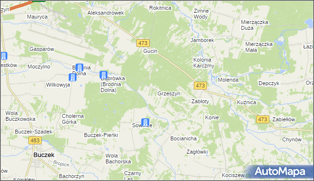 mapa Grzeszyn gmina Buczek, Grzeszyn gmina Buczek na mapie Targeo