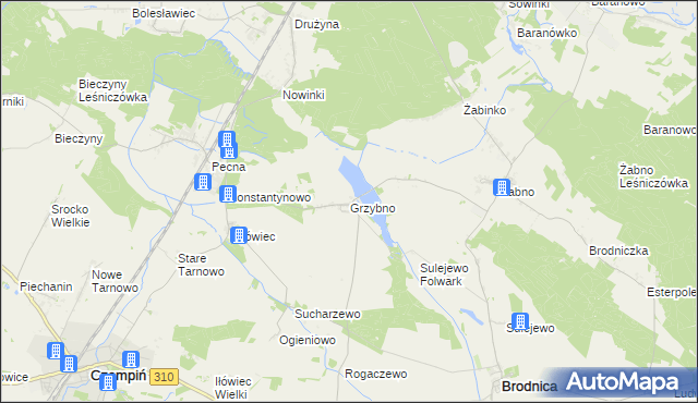 mapa Grzybno gmina Brodnica, Grzybno gmina Brodnica na mapie Targeo