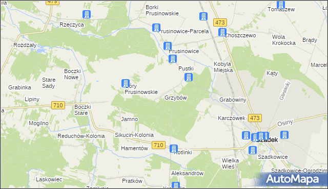 mapa Grzybów gmina Szadek, Grzybów gmina Szadek na mapie Targeo