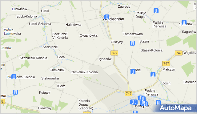 mapa Ignaców gmina Wojciechów, Ignaców gmina Wojciechów na mapie Targeo