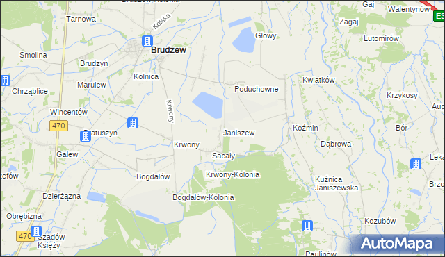 mapa Janiszew gmina Brudzew, Janiszew gmina Brudzew na mapie Targeo