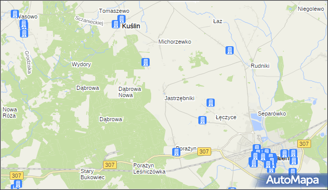 mapa Jastrzębniki gmina Opalenica, Jastrzębniki gmina Opalenica na mapie Targeo