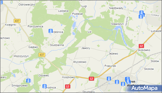 mapa Jawory gmina Borek Wielkopolski, Jawory gmina Borek Wielkopolski na mapie Targeo