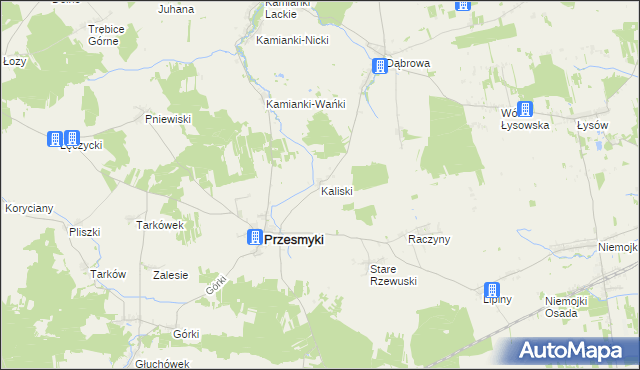 mapa Kaliski gmina Przesmyki, Kaliski gmina Przesmyki na mapie Targeo