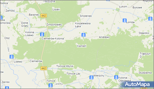 mapa Kamień gmina Pyzdry, Kamień gmina Pyzdry na mapie Targeo