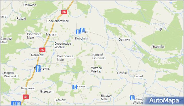 mapa Kamień Górowski, Kamień Górowski na mapie Targeo