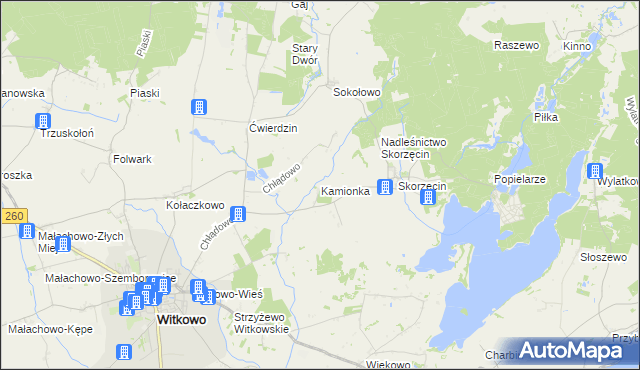 mapa Kamionka gmina Witkowo, Kamionka gmina Witkowo na mapie Targeo