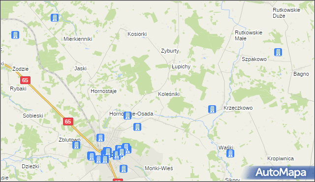 mapa Koleśniki gmina Mońki, Koleśniki gmina Mońki na mapie Targeo