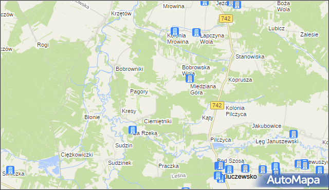 mapa Kolonia Bobrowska Wola, Kolonia Bobrowska Wola na mapie Targeo