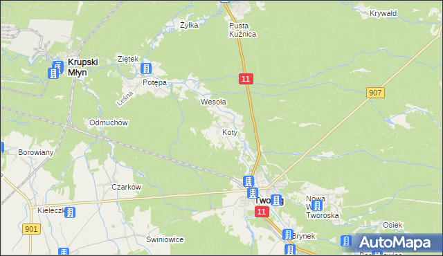 mapa Koty gmina Tworóg, Koty gmina Tworóg na mapie Targeo