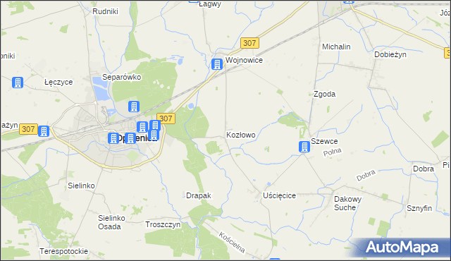 mapa Kozłowo gmina Opalenica, Kozłowo gmina Opalenica na mapie Targeo