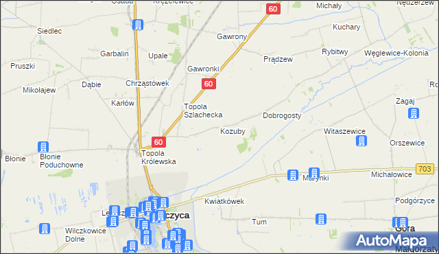mapa Kozuby gmina Łęczyca, Kozuby gmina Łęczyca na mapie Targeo