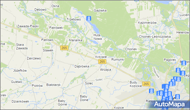 mapa Krzywie gmina Gostynin, Krzywie gmina Gostynin na mapie Targeo