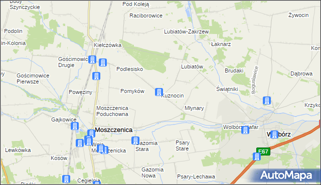 mapa Kuznocin gmina Wolbórz, Kuznocin gmina Wolbórz na mapie Targeo