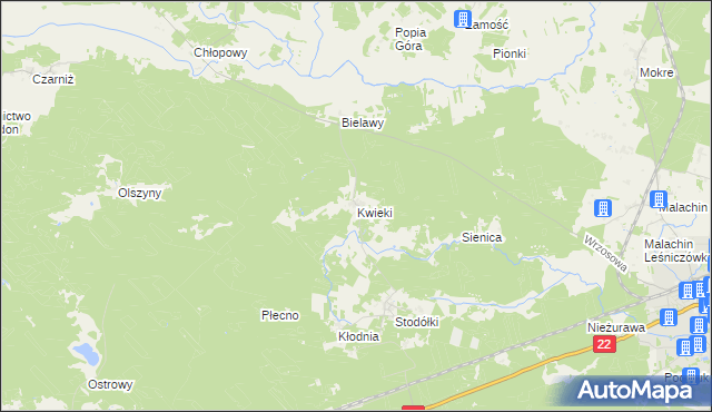 mapa Kwieki, Kwieki na mapie Targeo