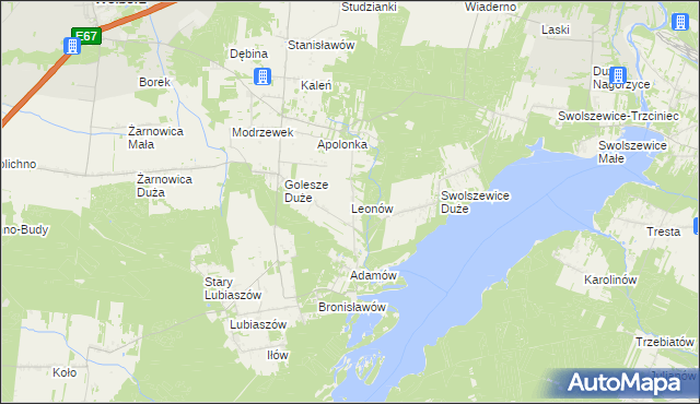 mapa Leonów gmina Wolbórz, Leonów gmina Wolbórz na mapie Targeo