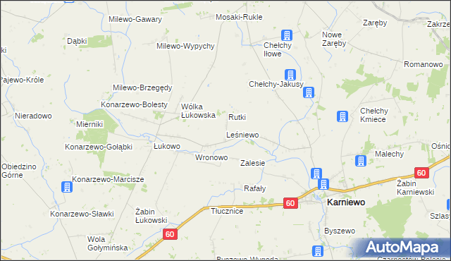 mapa Leśniewo gmina Karniewo, Leśniewo gmina Karniewo na mapie Targeo